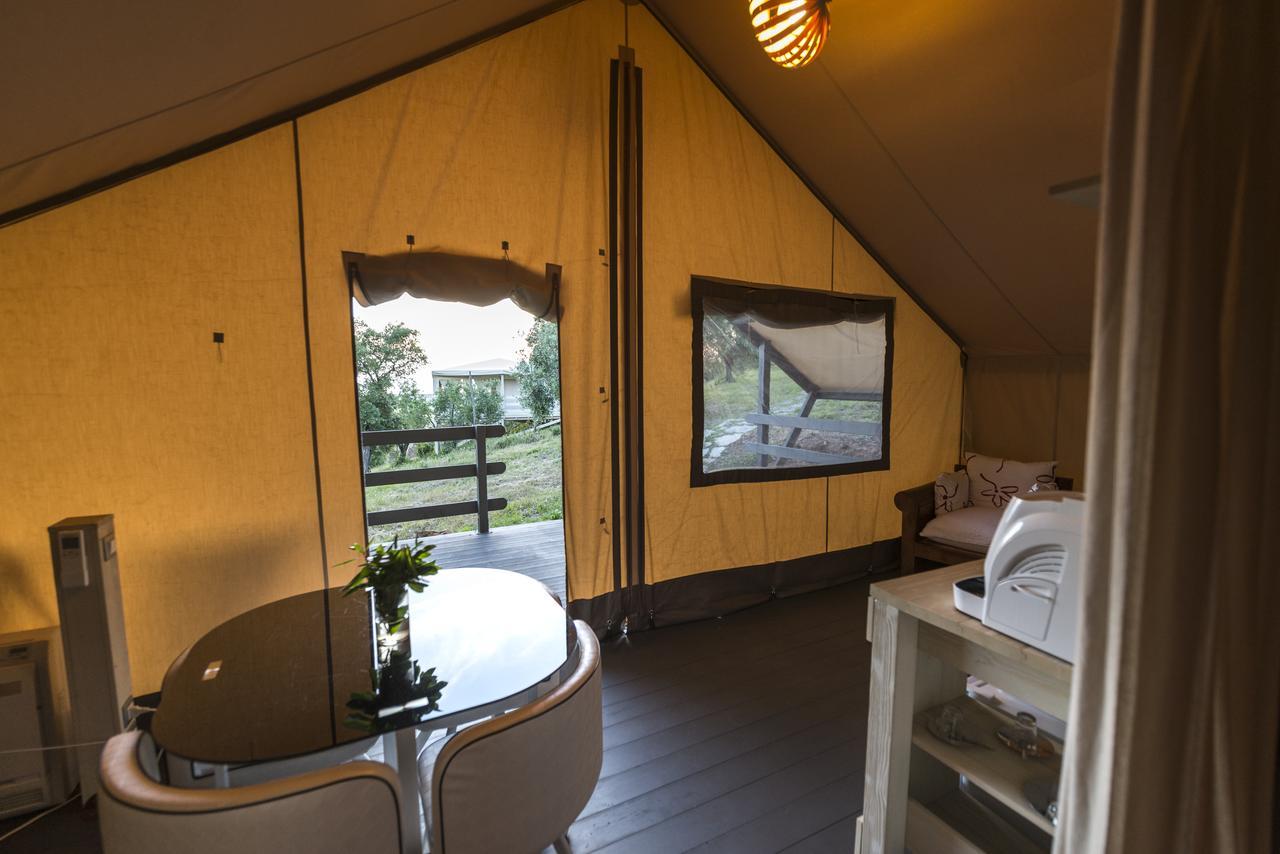 Be Vedetta Luxury Glamping - Adult Only Hotel Scarlino Exterior foto